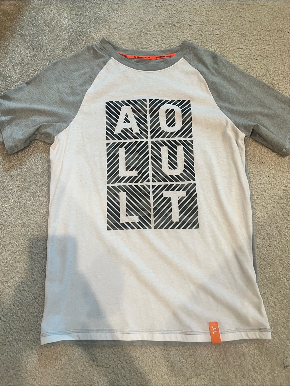 Graphic Raglan Tee in Light Gray and White Orangetheory